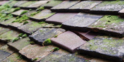 Petts Wood roof repair costs